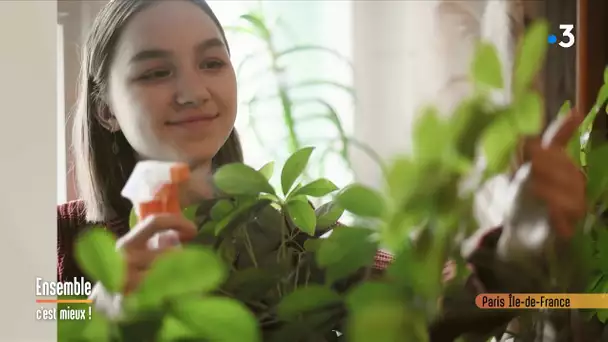 Ensemble c'est mieux N° 75 : Des plantes d'intérieur en bonne santé