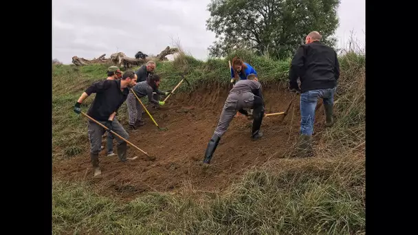 Des travaux pour la nidification des guêpiers d'Europe dans le Jura