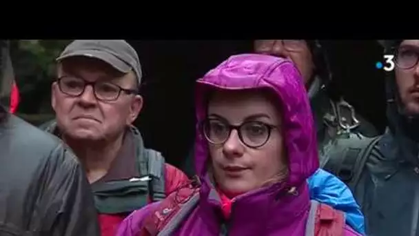 Mittlach : une battue citoyenne pour tenter de retrouver un randonneur