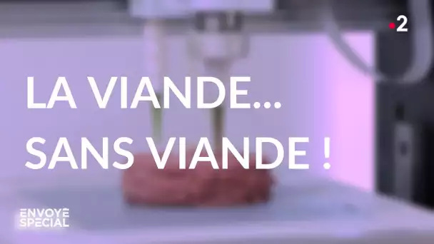 Envoyé spécial. La viande... sans viande - Jeudi 19 mars 2020 (France 2)