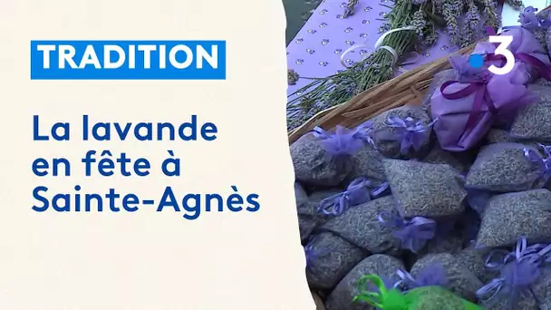 La lavande en fête à Sainte-Agnès