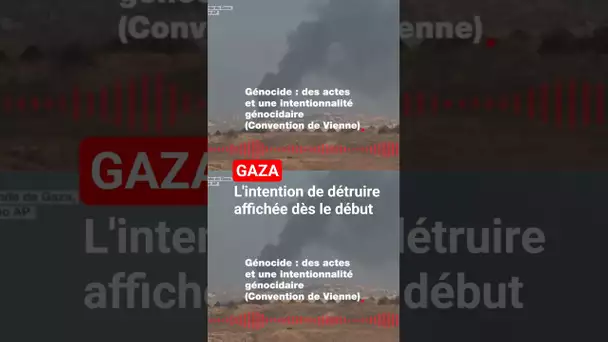 Génocide à Gaza : l'intention de détruire affichée dès le début #israel #gaza #genocideingaza