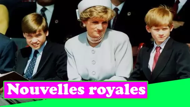 Le prince Harry dit que les fans de Diana pensaient `` qu'ils la connaissaient mieux '' que lui quan