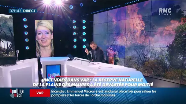 La secrétaire d'Etat chargée de la biodiversité dresse le bilan de l'incendie monstre du Var