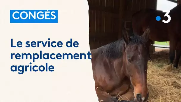 Agriculteur : le service de remplacement agricole