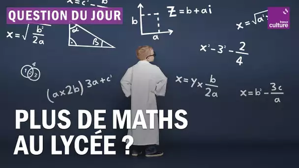 Faut-il renforcer l’enseignement des mathématiques au lycée ?