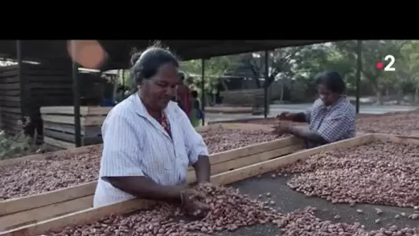 Inde : L'Eldorado du chocolat