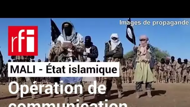 Mali : opération de communication de l’État Islamique au Grand Sahara • RFI