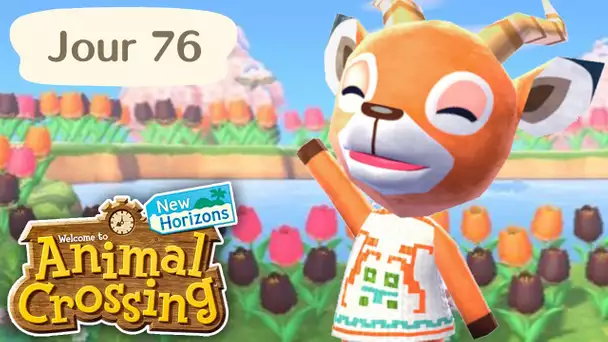 Jour 76 | Chasse à l'habitant | Animal Crossing : New Horizons