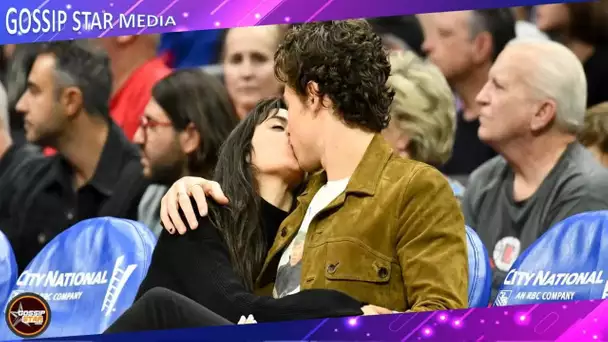 Shawn Mendes et Camila Cabello, Megan Fox et Machine Gun Kelly, Katy Perry et Orlando Bloom... Ces c