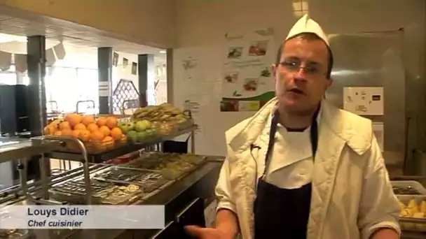 Déchets fermentescibles de cantine : le compostage fait son entrée dans les établissements scolaires