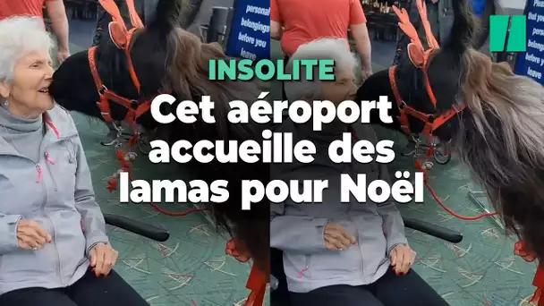 Cet aéroport américain avait tout prévu pour détendre les passagers stressés à Noël