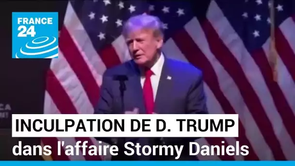 États-Unis : Donald Trump inculpé au pénal dans l'affaire Stormy Daniels • FRANCE 24