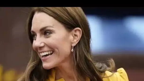 Kate dévoile de nouvelles règles alors que la princesse « devient vraiment frustrée » en se concentr