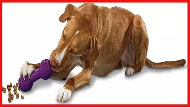 PetSafe Busy Buddy Chuckle Sound Dog Chew Toy - Treat Dispenser, BB-CHK, Purple,Medium/Large