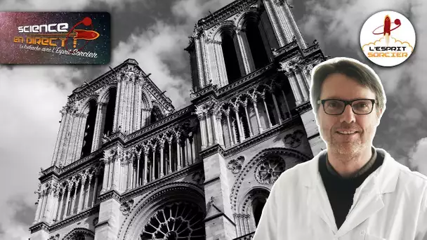 Le chantier scientifique de Notre-Dame de Paris | Philippe Dillmann - Science En Direct 2021
