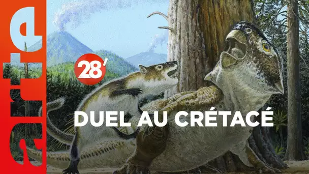 Mammifère contre dinosaure : qu’importe la taille, pourvu qu’on ait les crocs - 28 Minutes - ARTE