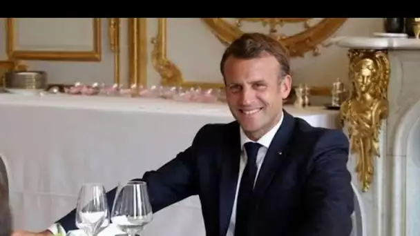 Discours d'Emmanuel Macron : son sosie prend la parole et fait un véritable carton sur...