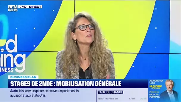 Véronique Blanc (région académique IDF) : Stage de 2nde, mobilisation générale