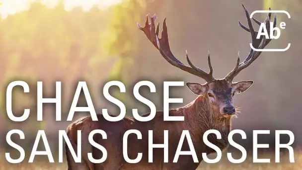 De la chasse sans chasseurs. ABE-RTS