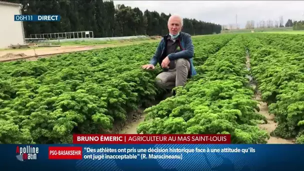 "Personne n'est venu!": le désarroi de ces agriculteurs qui ne trouvent pas de main d'oeuvre