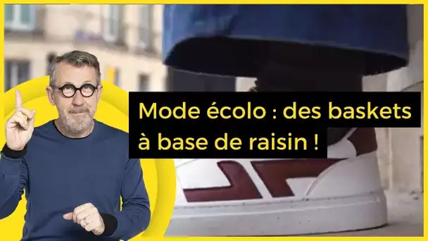 Mode écolo : des baskets à base de raisin ! - C Jamy