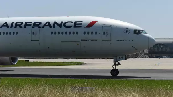 Aéroport d'Orly : Transavia, easyJet... À qui va profiter le départ d'Air France ?