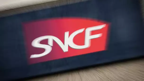 La SNCF va installer des centres de télémédecine dans environ 300 gares