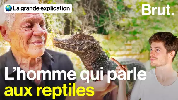 Serpents, crocodiles, lézards… Philippe vit avec plus de 400 reptiles