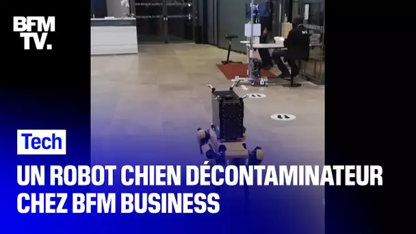 Spot, le robot-chien décontaminateur s'est rendu dans les locaux de BFM Business