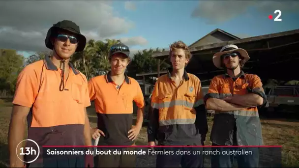 Saisonniers du bout du monde : fermiers dans un ranch australien