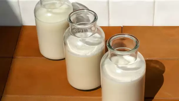 Recette fait maison - Boissons végétales