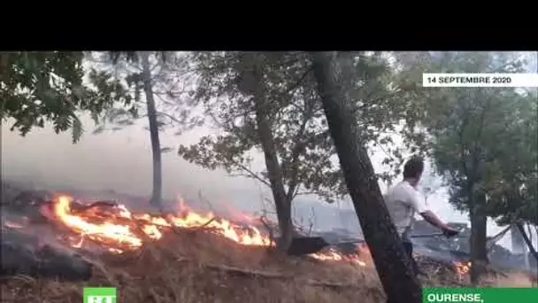 Espagne : des milliers d’hectares de forêt détruits par les feux en Galicie