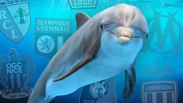 🐬 Qui sera le dauphin de Ligue 1 ?