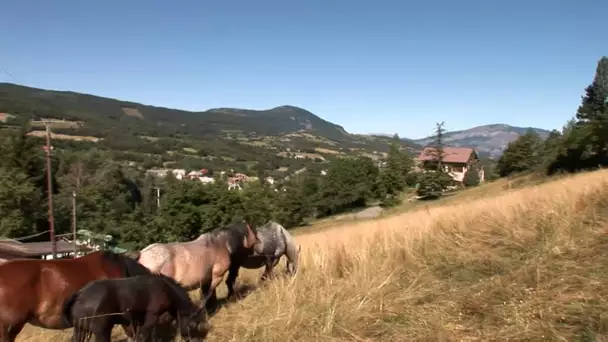 La maison d'hôte, les vacances autrement