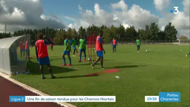 Football Ligue 2 : les Chamois Niortais et leurs dirigeants moqués sur les réseaux sociaux