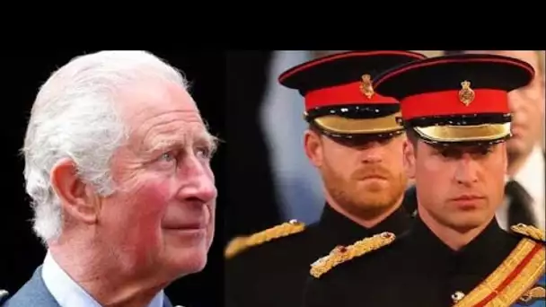 L'appel déchirant du roi Charles au prince Harry et au prince William après des discussions tendues
