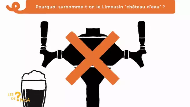 Les ? de Noa #28 : pourquoi surnomme-t-on le Limousin "château d'eau" ?