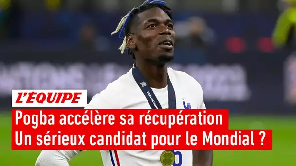 Pogba accélère sa récupération - Peut-il sérieusement postuler au Mondial ?