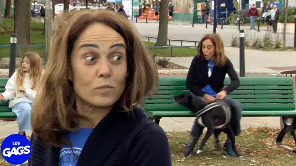 Le chien reconnait sa maitresse... | Juste Pour Rire Les Gags