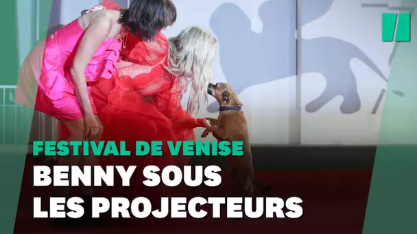 Ce chien a volé la vedette à Kate Hudson sur le tapis rouge de la Mostra de Venise