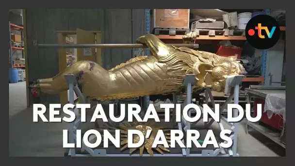 Patrimoine : la Socra aux petits soins pour le lion d'Arras