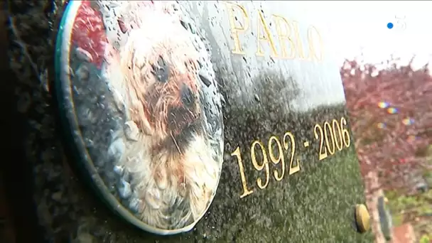 Maizières : visite du cimetière animalier avec Jean-Paul Bagard adjoint au maire.