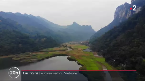 Lac Ba Be : le joyau vert du Vietnam
