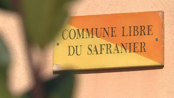 Place  publique à Antibes : la commune libre du Safranier