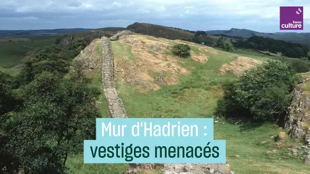 Les vestiges du mur d’Hadrien menacés par les changements climatiques