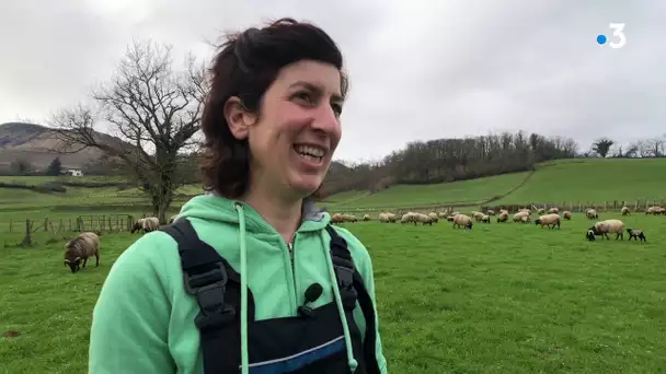 Nadia Ansolabéhère, ancienne enseignante devenue bergère au Pays basque
