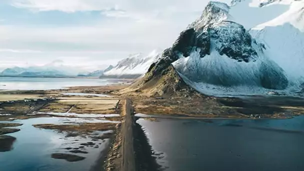 Découvrez les clichés finalistes du plus grand concours de photographie au monde !