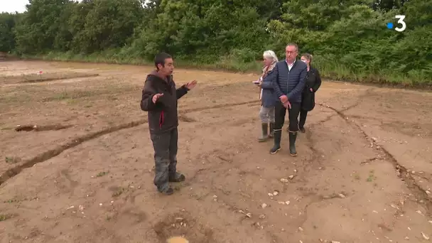 Concarneau. Des habitats de plus de 4 000 ans révélés par des fouilles