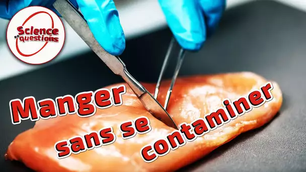 Comment éviter les intoxications alimentaires ? - Science En Questions